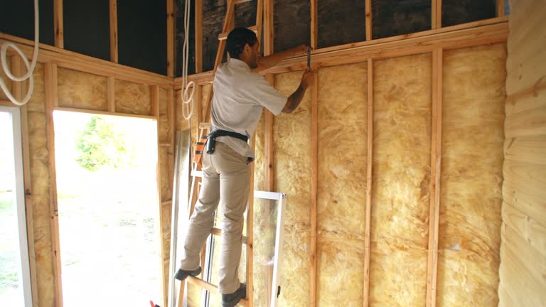 Best Basement Insulation  in Simpsonville, SC